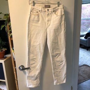 Everlane the High Rise Straight Jean size 27 ankle
